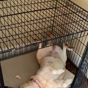 Meet your Posher, Alec